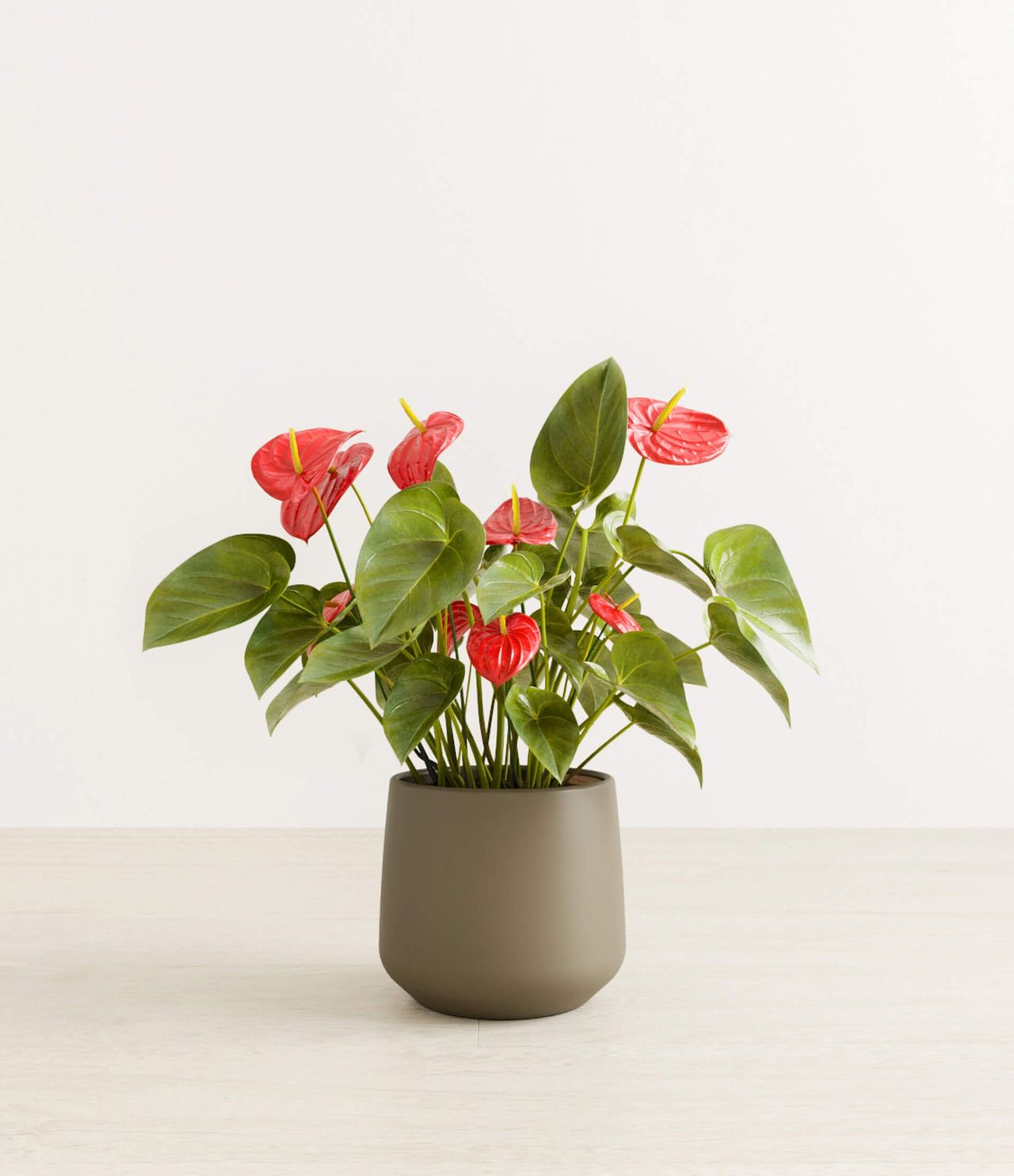 Dark Green Pot Silo CG Visualization