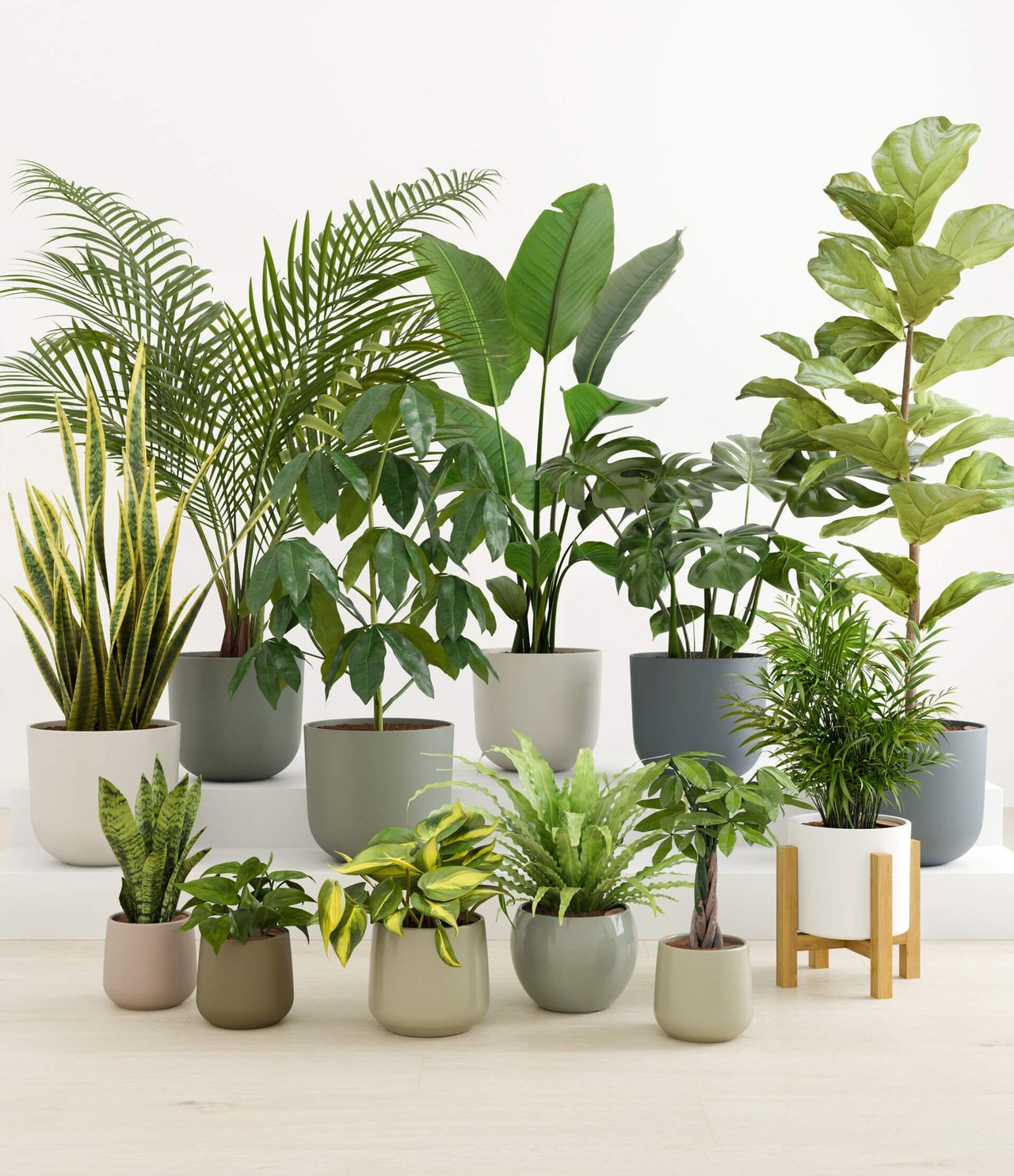 3D rendered image of various potted plants showcasing realistic 3D modeling and rendering for interior visualization