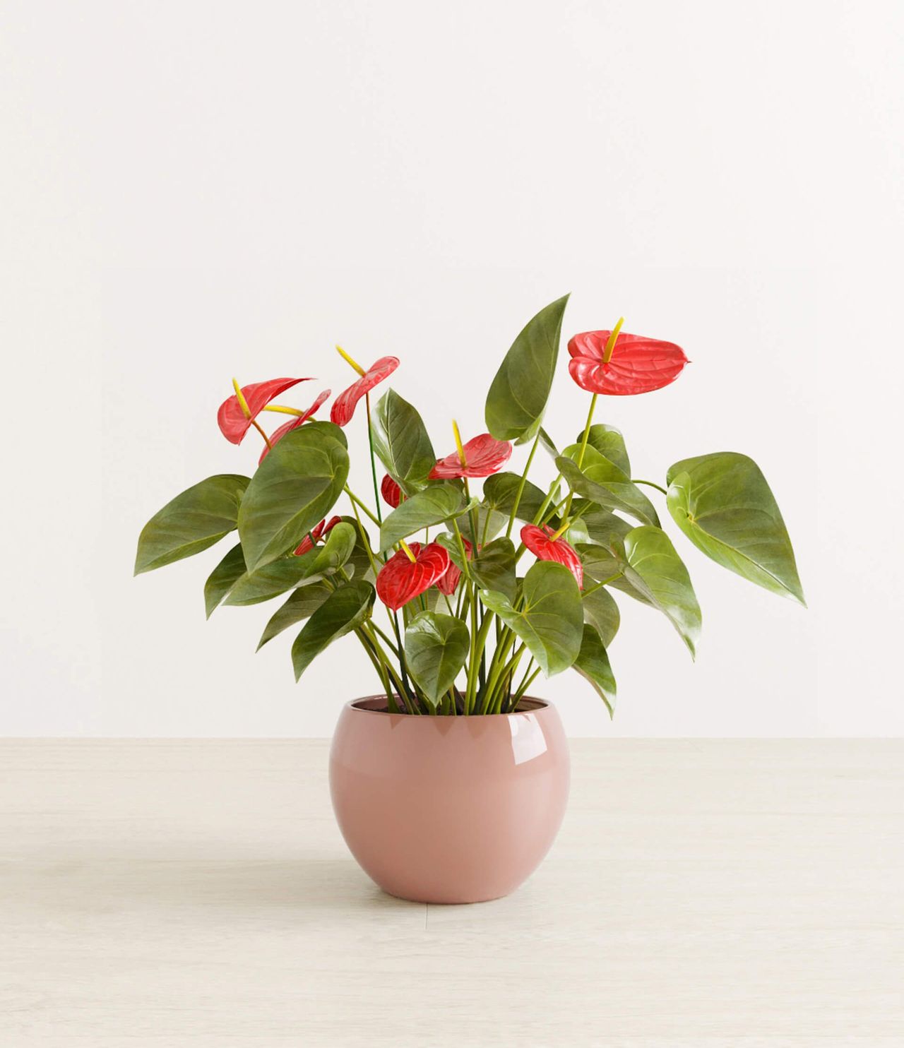 Photoreal 3D visualization of a potted plant, showcasing photorealistic rendering and CGI solutions for interior design projects.