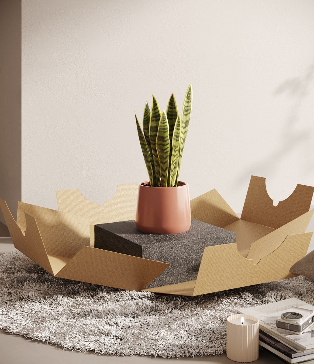 3D rendered image showcasing a trendy plant setup with realistic house fittings visualization, featuring a potted plant on a textured surface, highlighting 3D modeling and rendering techniques.