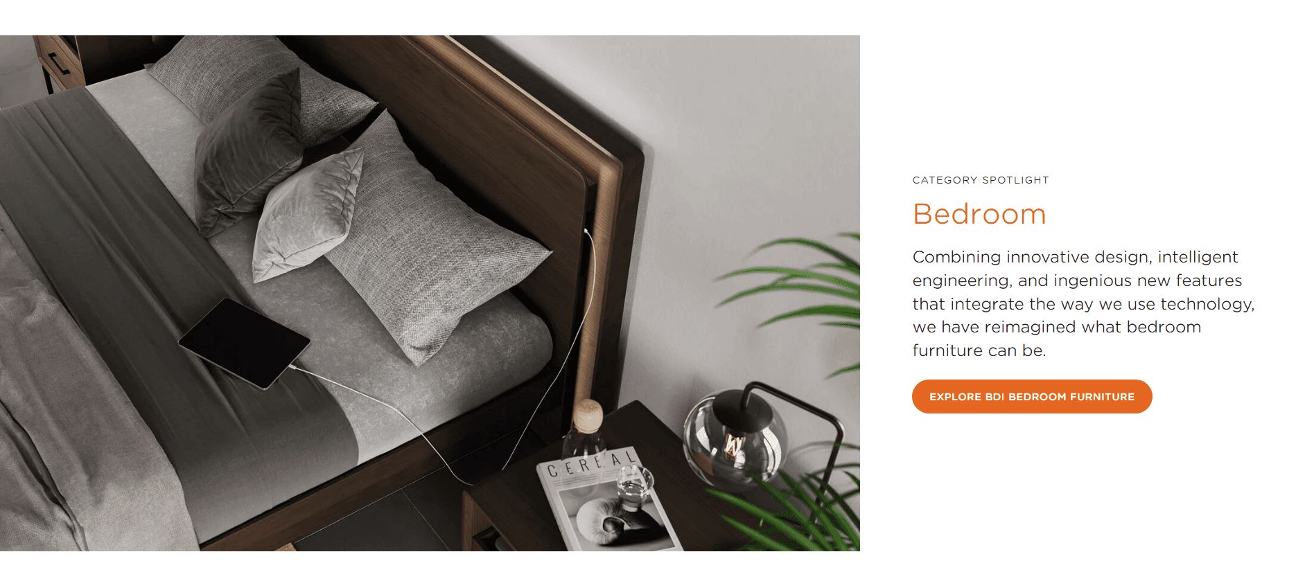 CGI for BDI Company's Website Product Page