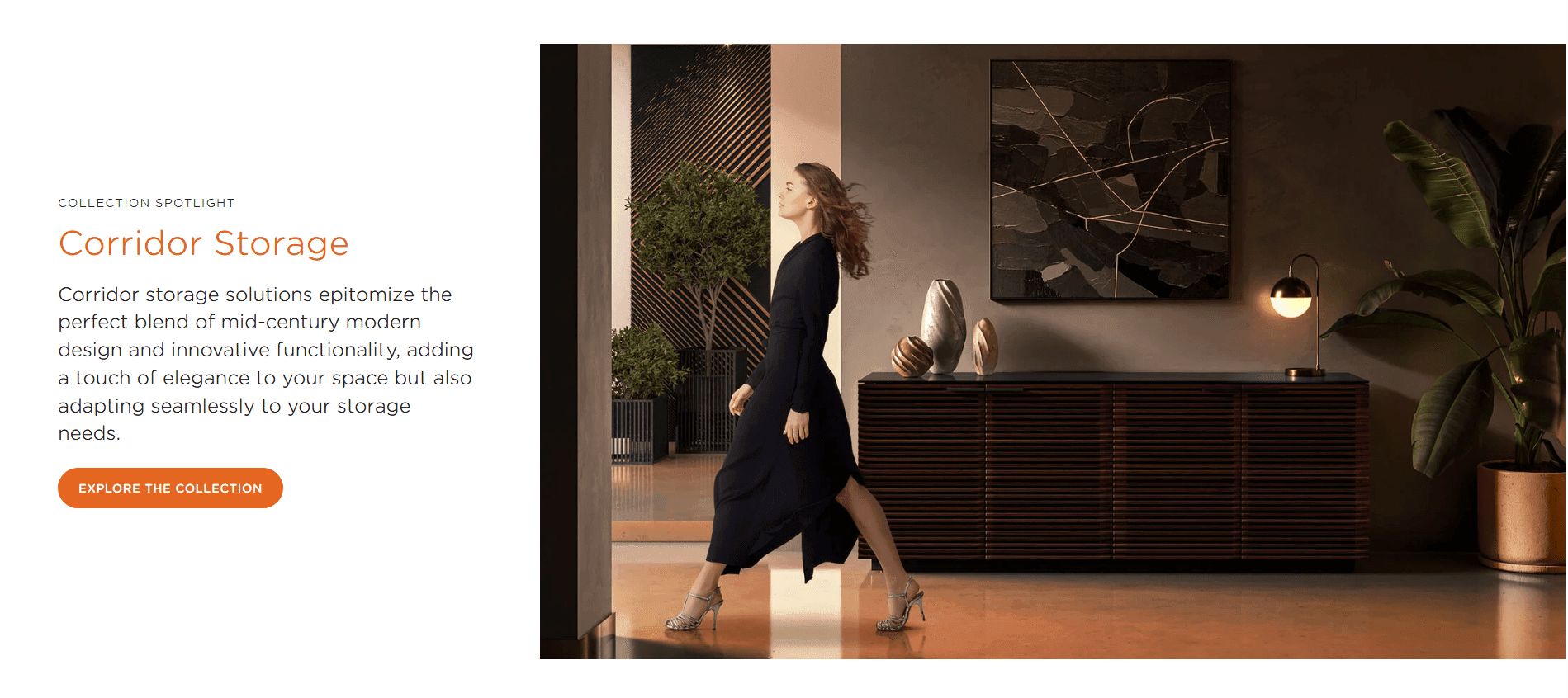 CGI for BDI Company's Website LP