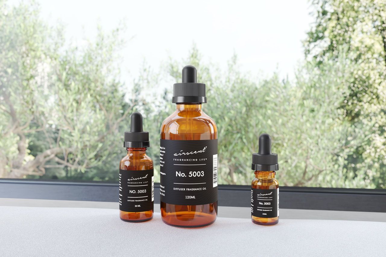 Fragrance Bottles Group Shot beside a Window